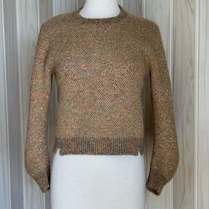 Stella McCartney ( Made in Italy) Brown Sparkle Crew Neck Sweater